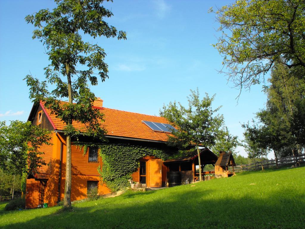 Agroturystyka Zacisze Czarna Owca Brzezanka Bagian luar foto