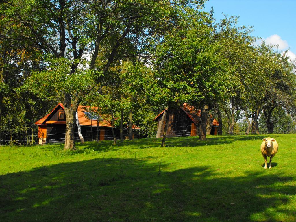 Agroturystyka Zacisze Czarna Owca Brzezanka Bagian luar foto
