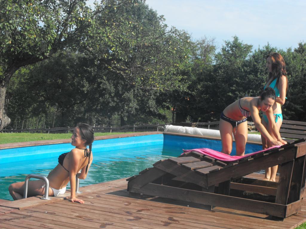 Agroturystyka Zacisze Czarna Owca Brzezanka Bagian luar foto