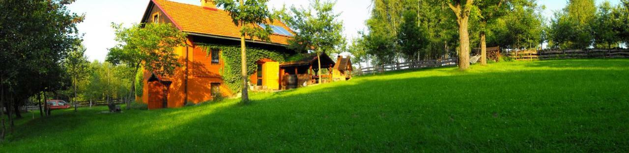 Agroturystyka Zacisze Czarna Owca Brzezanka Bagian luar foto