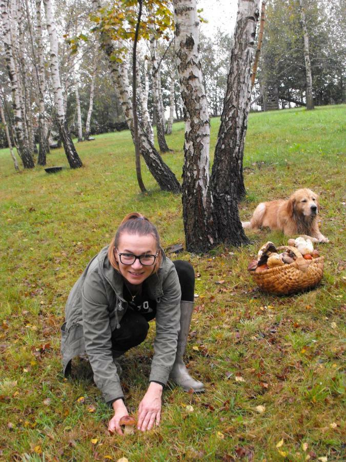 Agroturystyka Zacisze Czarna Owca Brzezanka Bagian luar foto